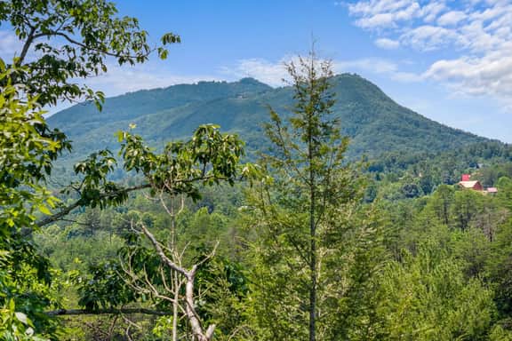 Bearly Behavin' | Cozy Smoky Mountain Log Cabin - Image 4